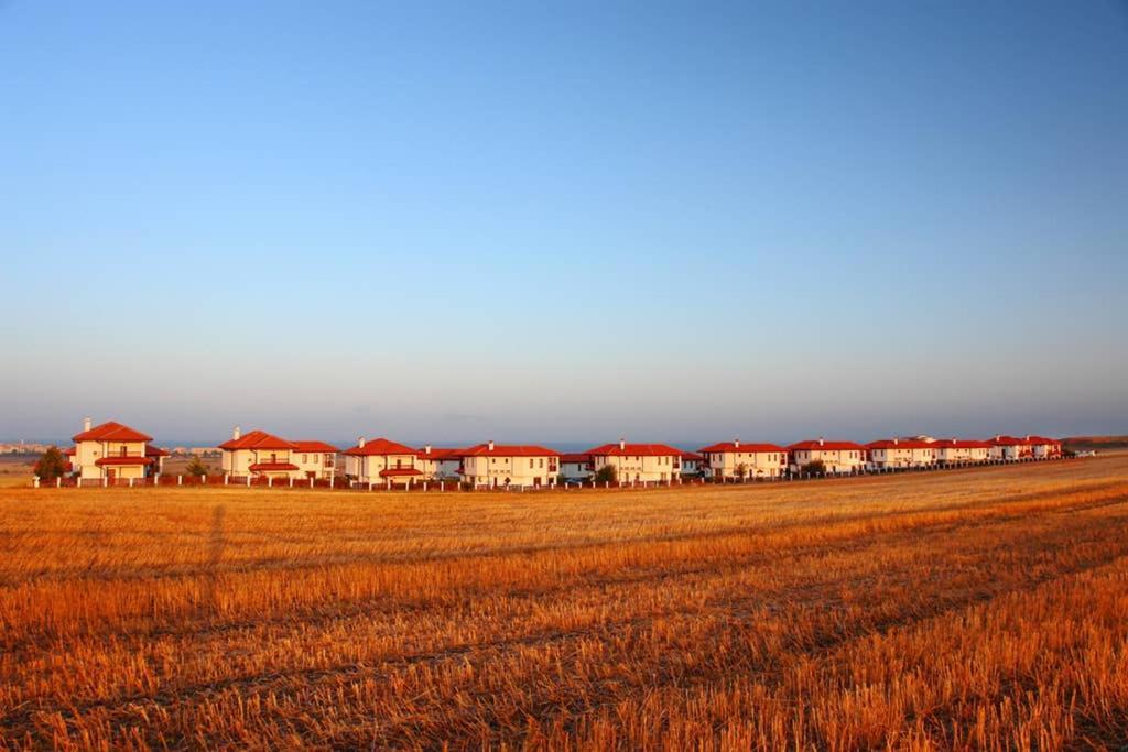 فيلا Generaator House أهيلوي المظهر الخارجي الصورة